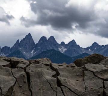 Alın çizgilerinin agresif profil ile ilişkili işaretleri